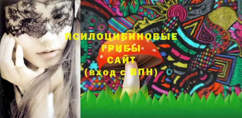 Галлюциногенные грибы Psilocybine cubensis  Россошь 